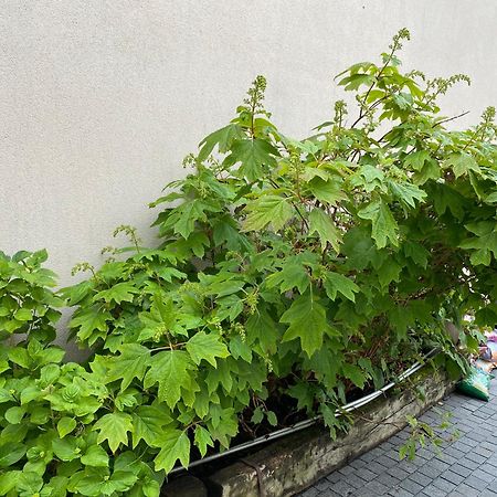 佩里尼La Maison Du Canal De Rompsay - 5 Min De La Rochelle住宿加早餐旅馆 外观 照片